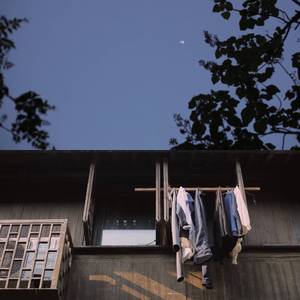 好屌日在线视频
